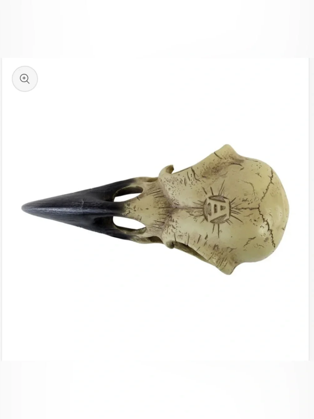 Alchemy Gothic Raven Skull Accent - Corvus Alchemica